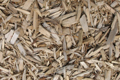 biomass boilers Longcause
